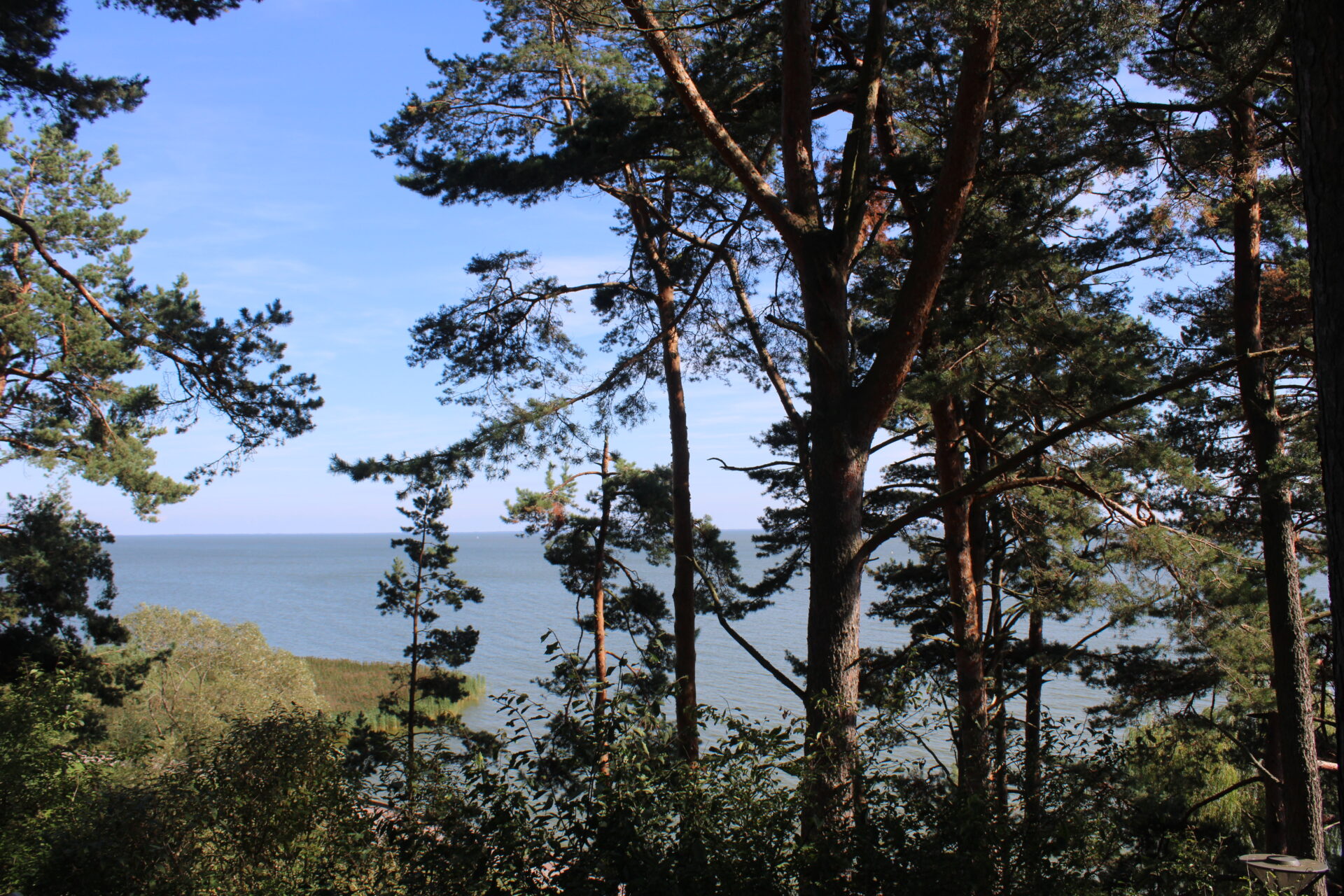 Ausblick Sommerhaus Thomas Mann